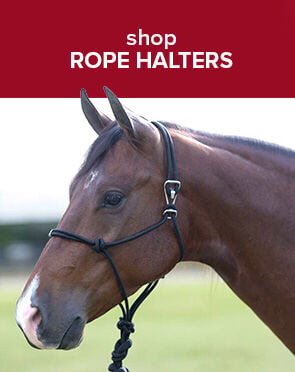 Rope Halters